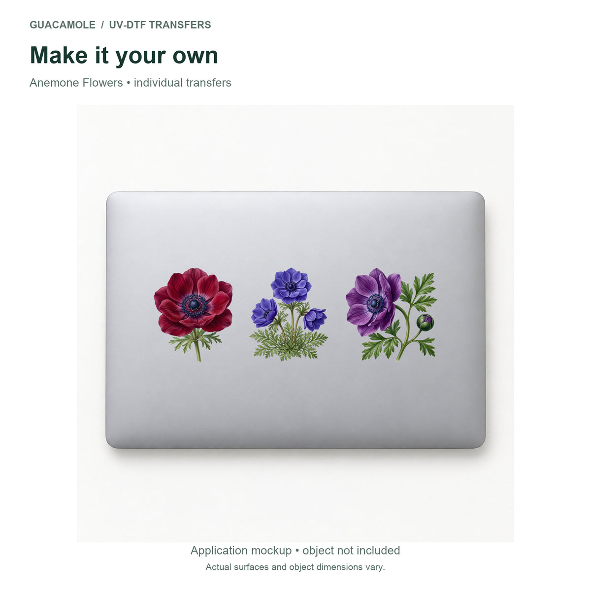 Anemone Flowers — Three designs on a laptop