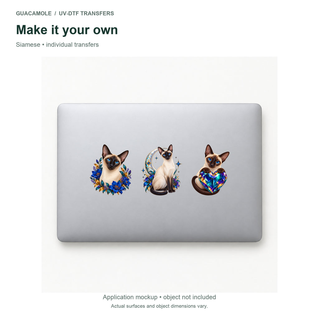 Siamese — Three designs on a laptop