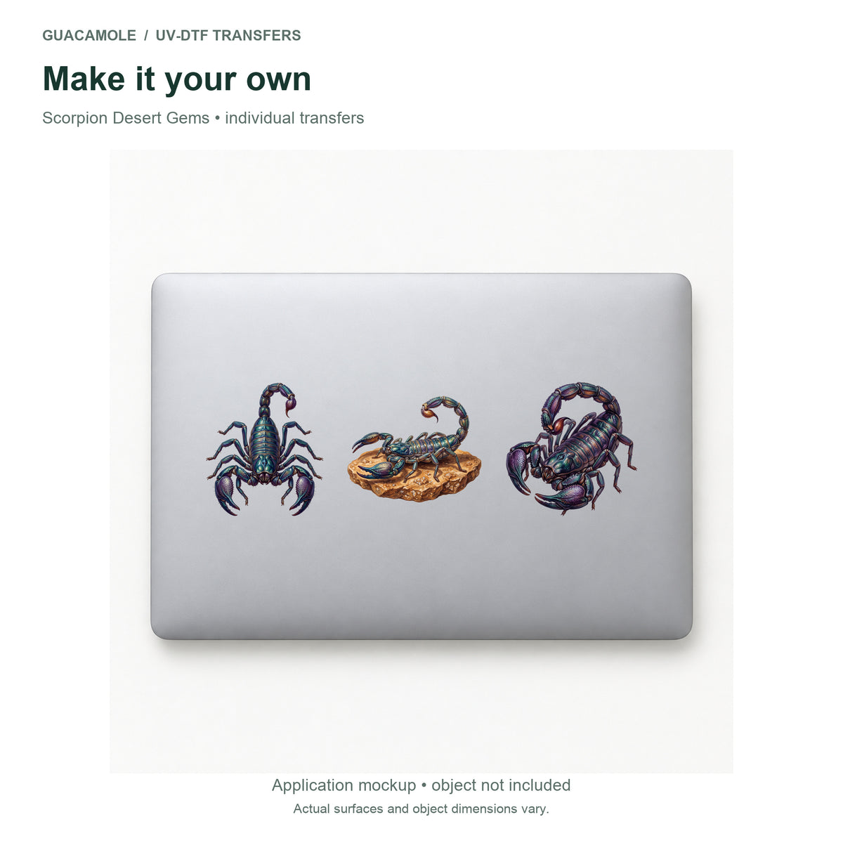Scorpion Desert Gems — Three designs on a laptop