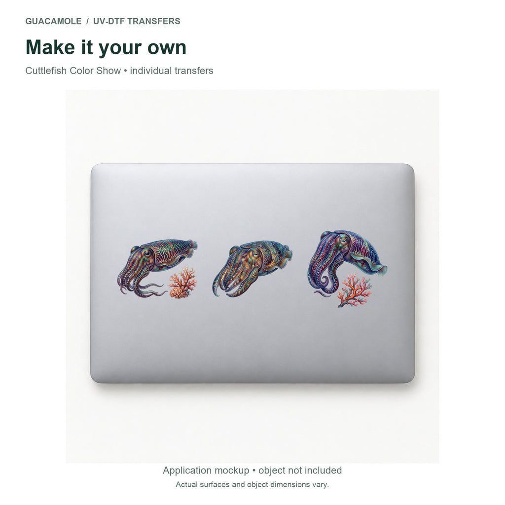 Cuttlefish Color Show — Three designs on a laptop