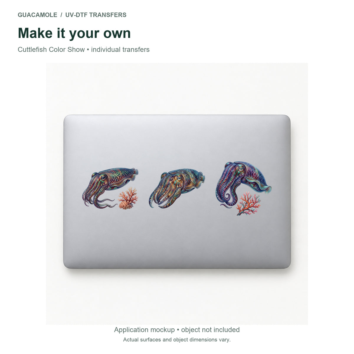Cuttlefish Color Show — Three designs on a laptop