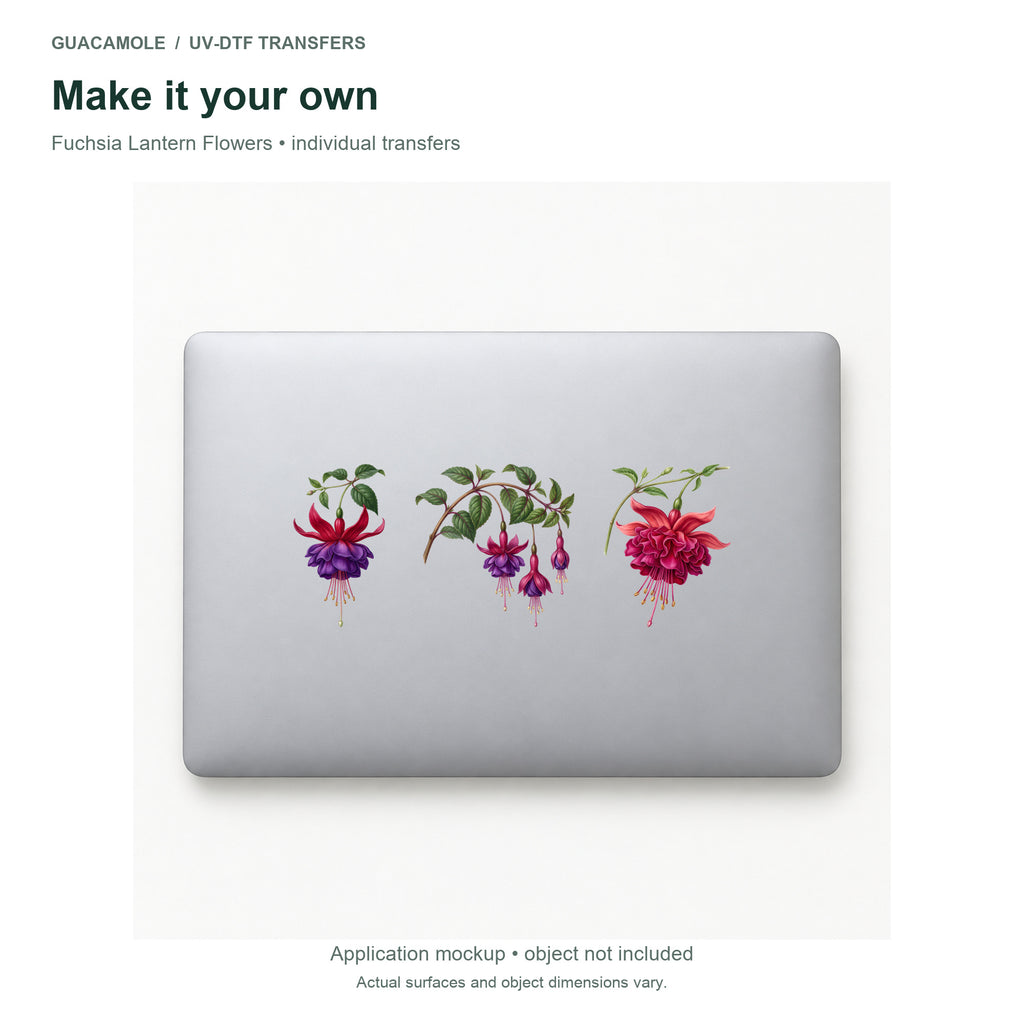 Fuchsia Lantern Flowers — Three designs on a laptop