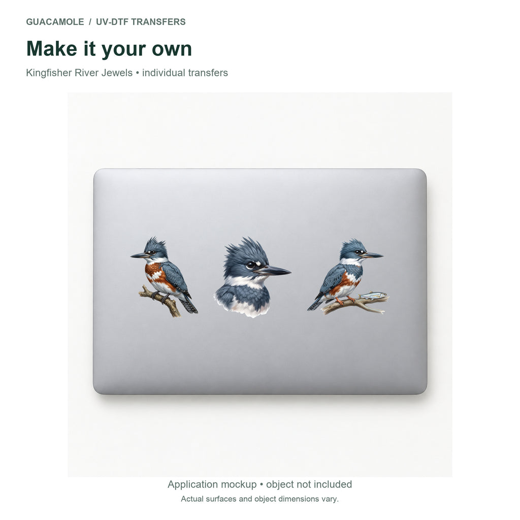Kingfisher River Jewels — Three designs on a laptop
