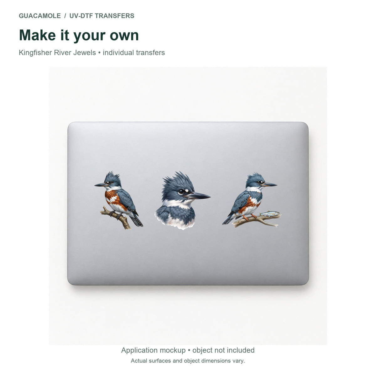 Kingfisher River Jewels — Three designs on a laptop