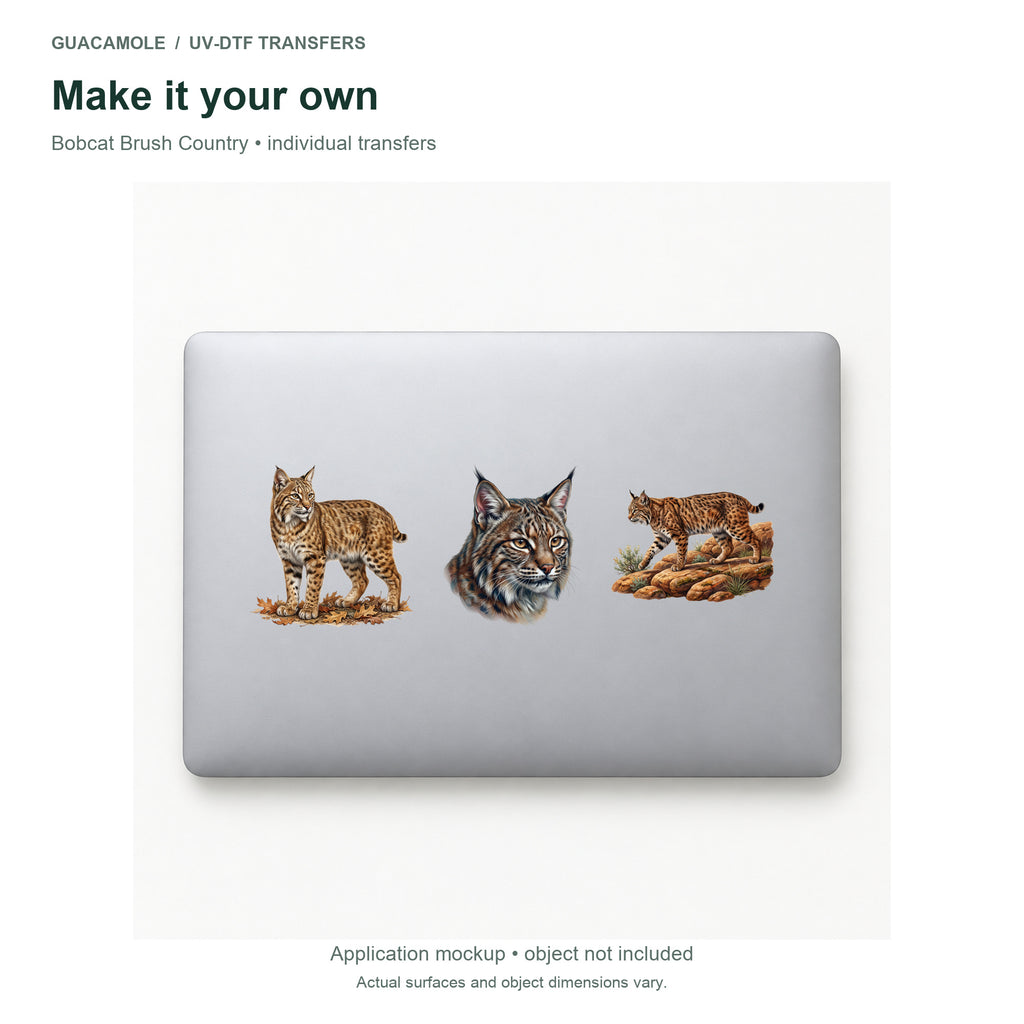 Bobcat Brush Country — Three designs on a laptop