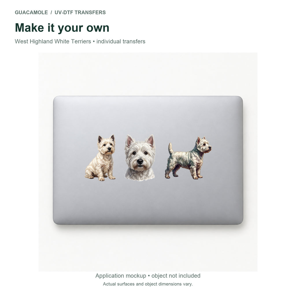 West Highland White Terriers — Three designs on a laptop