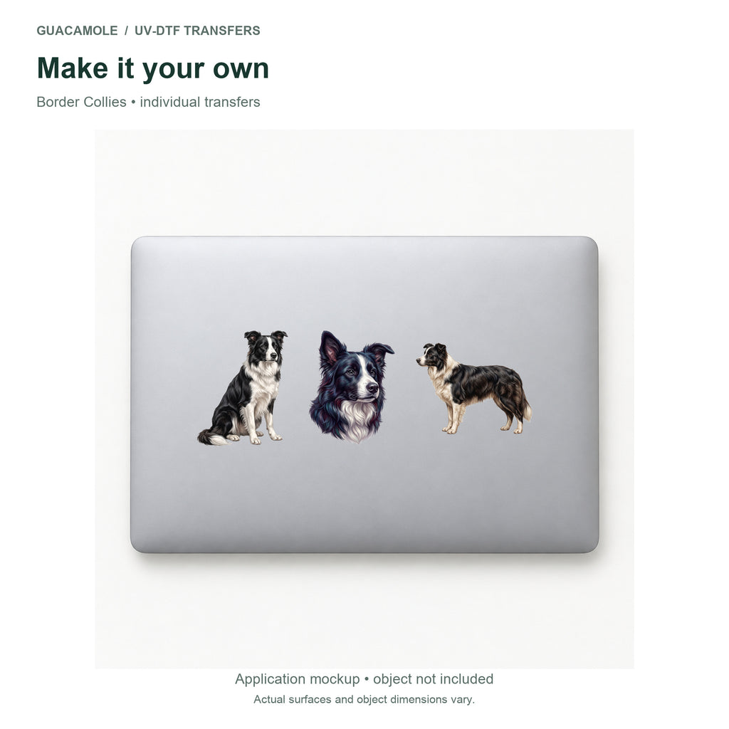 Border Collies — Three designs on a laptop