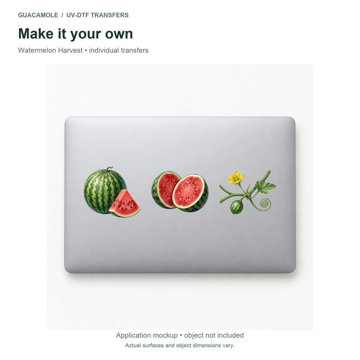 Watermelon Harvest — Three designs on a laptop