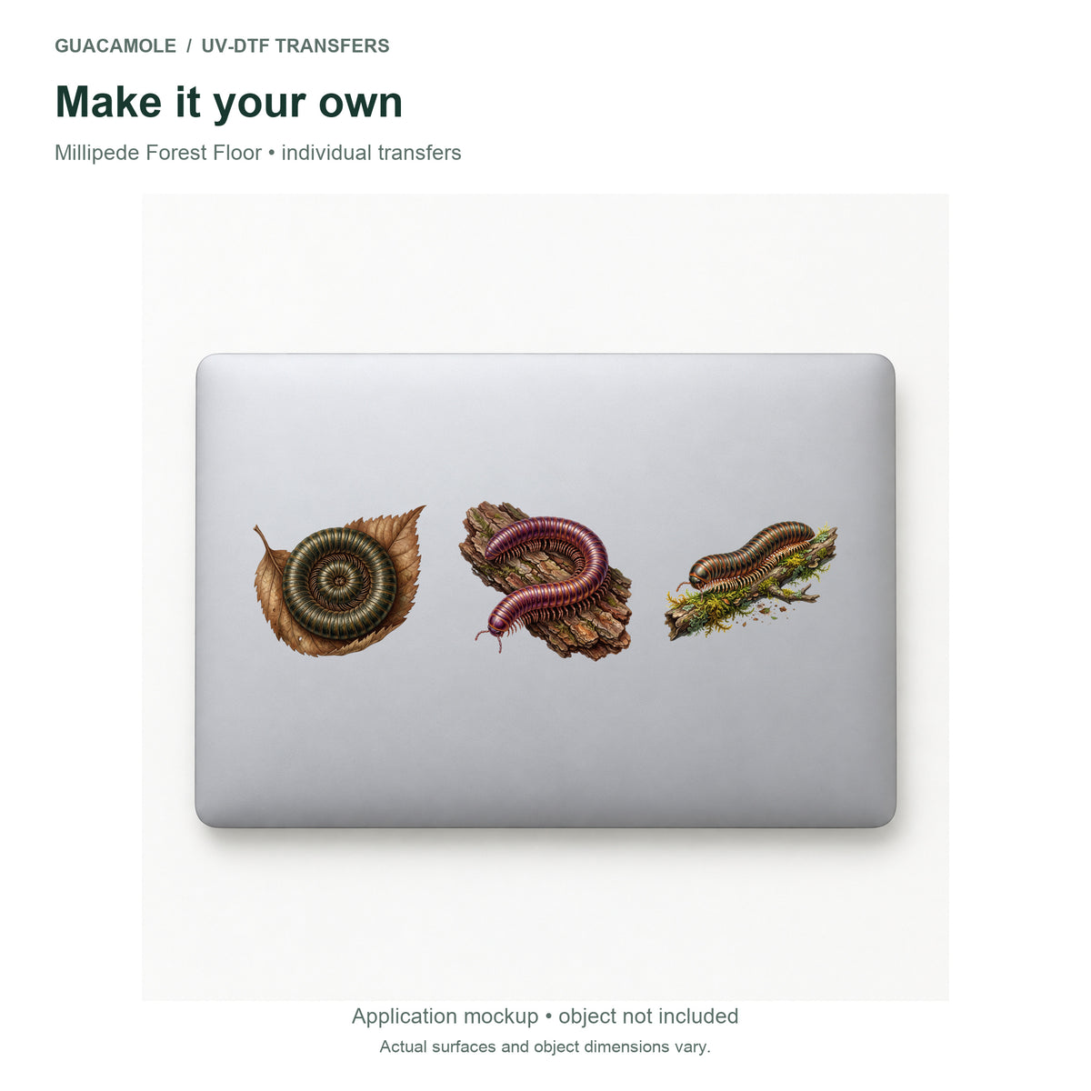 Millipede Forest Floor — Three designs on a laptop
