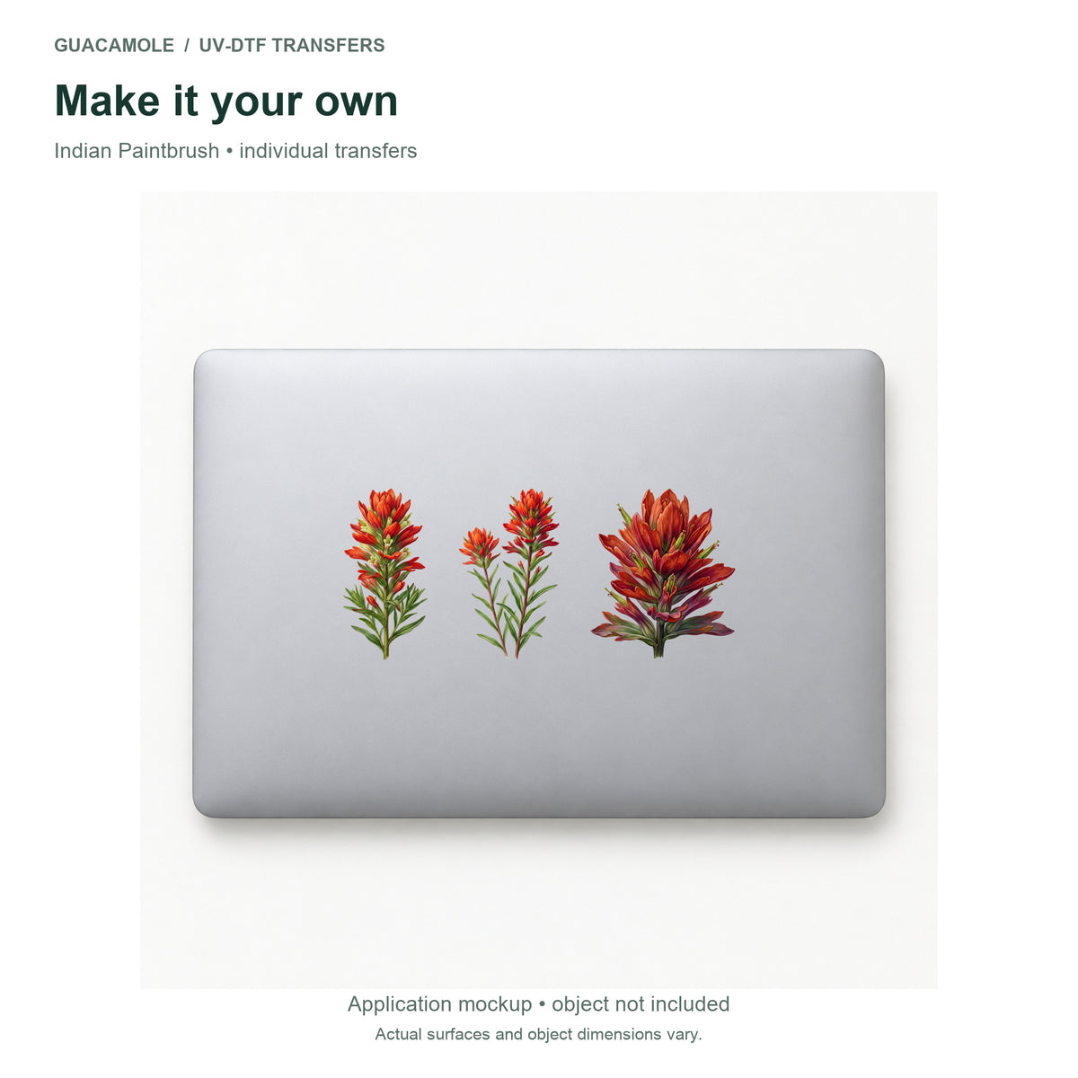 Indian Paintbrush — Three designs on a laptop