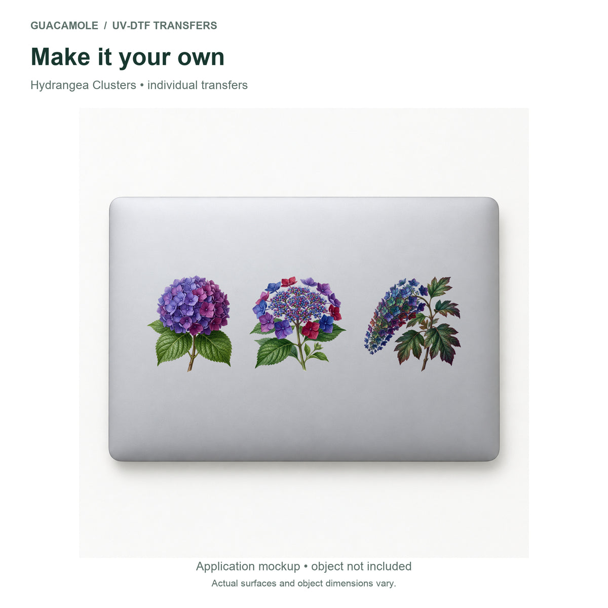 Hydrangea Clusters — Three designs on a laptop