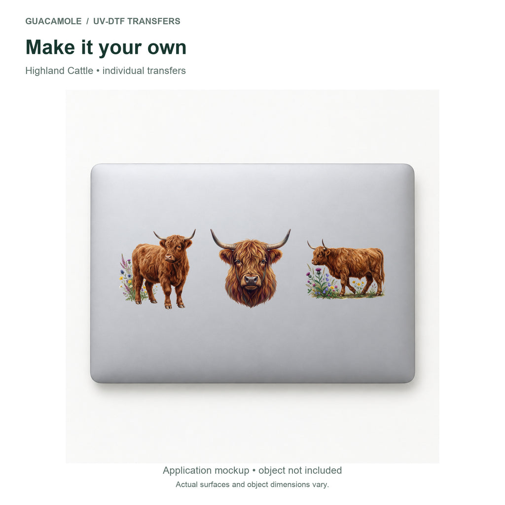 Highland Cattle — Three designs on a laptop