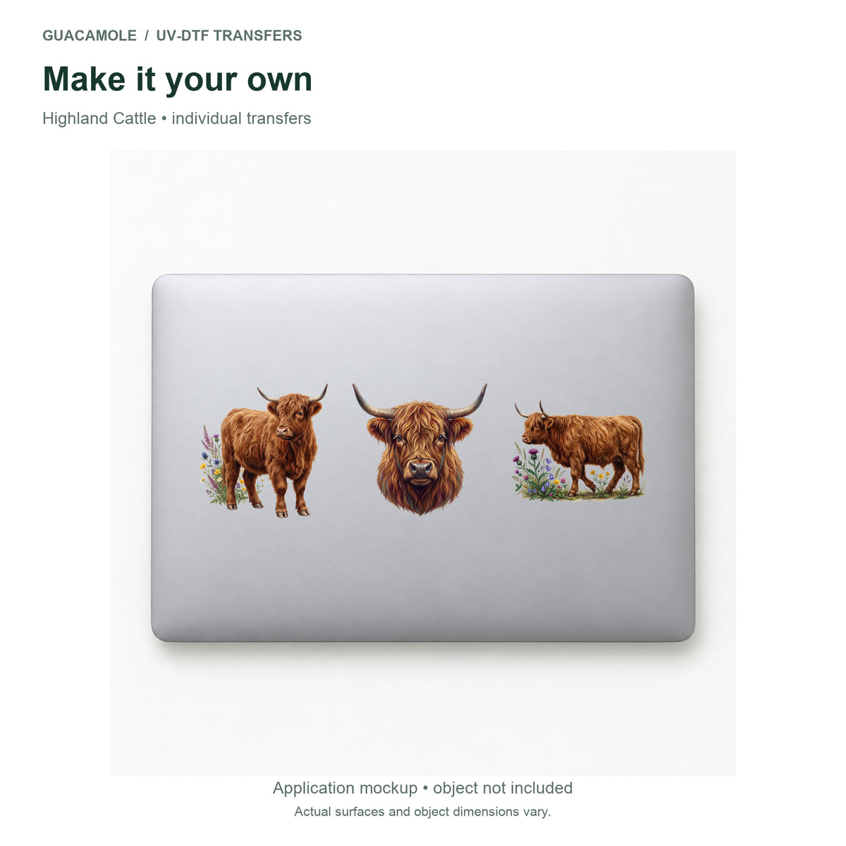 Highland Cattle — Three designs on a laptop