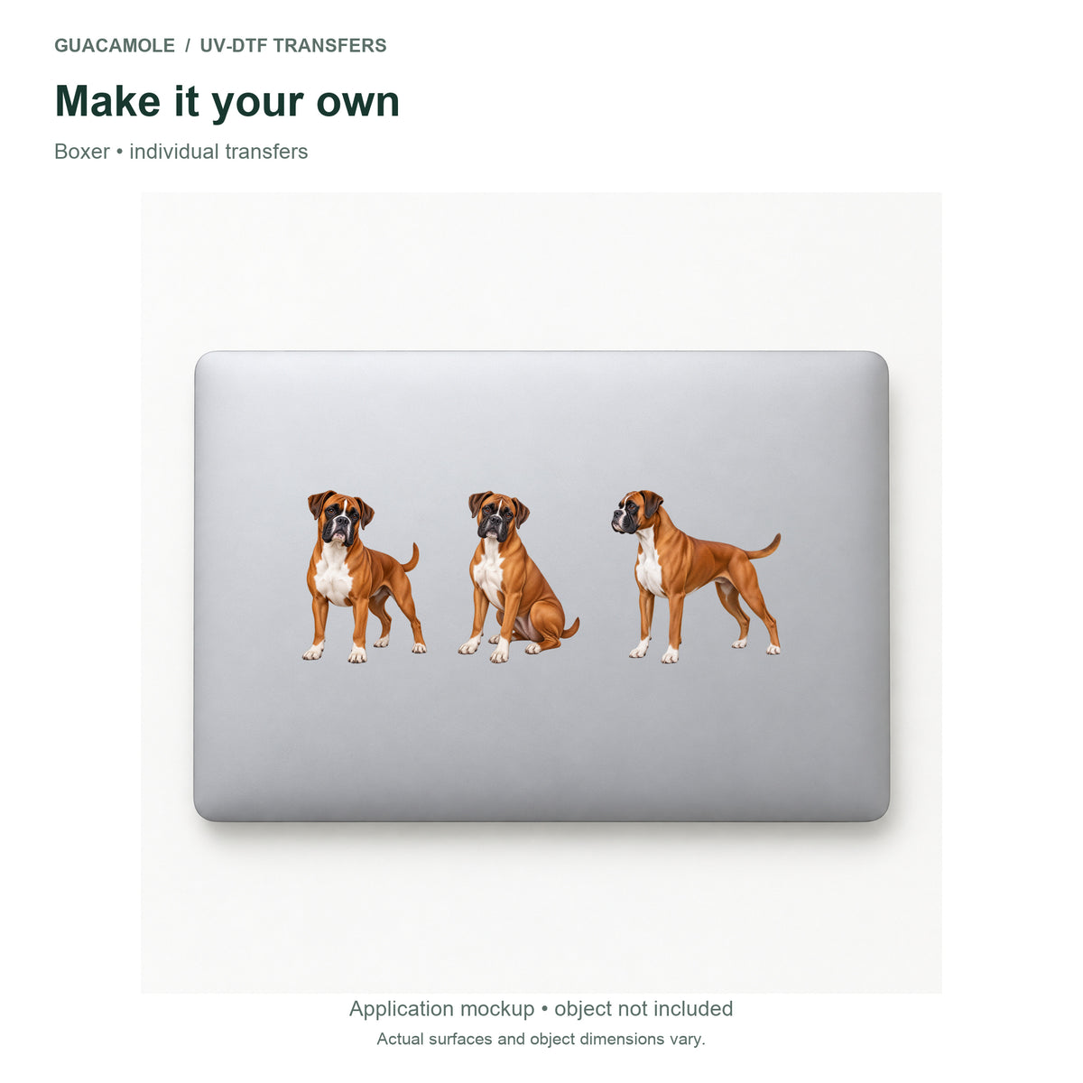 Boxer — Three designs on a laptop