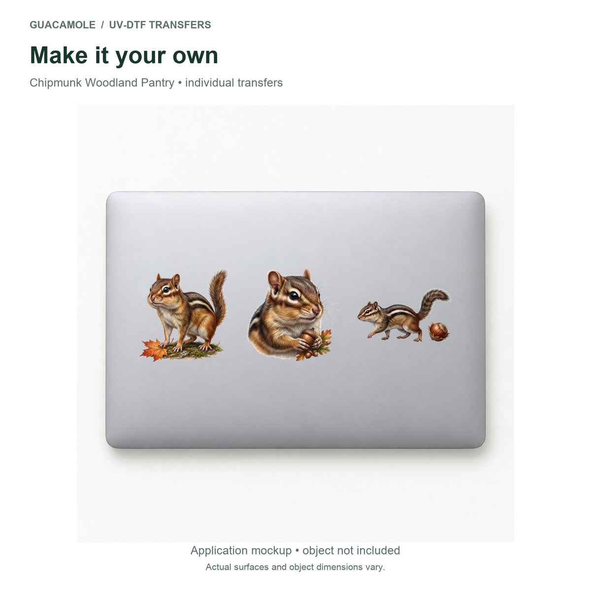 Chipmunk Woodland Pantry — Three designs on a laptop