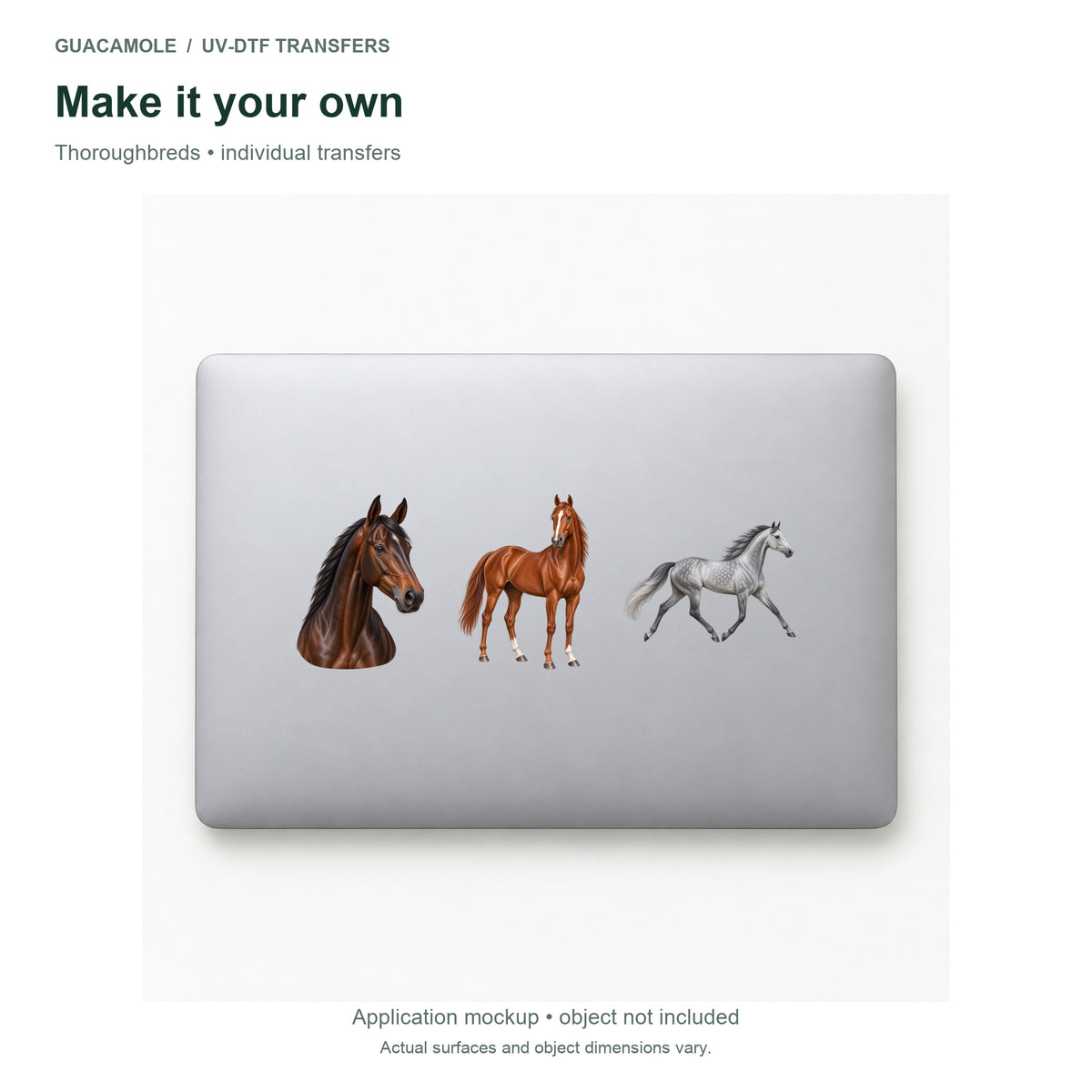 Thoroughbreds — Three designs on a laptop