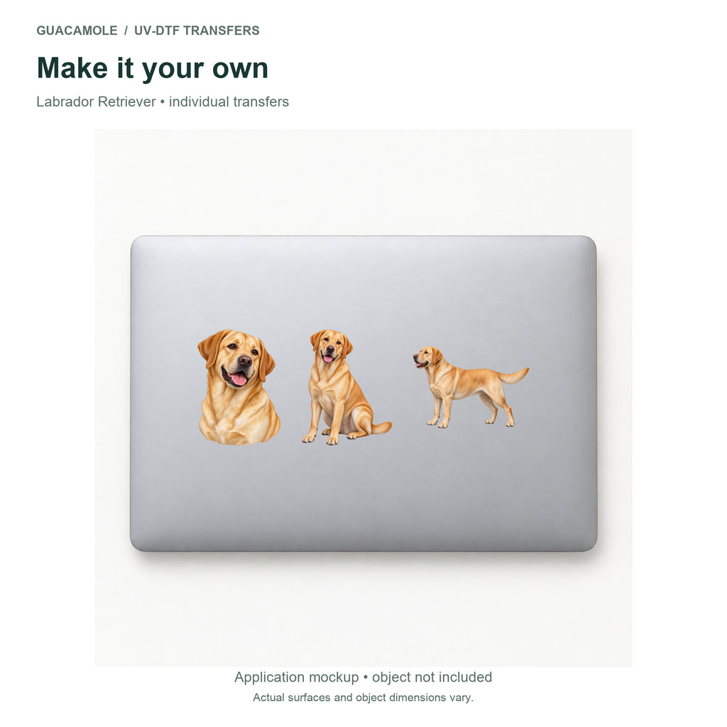 Labrador Retriever — Three designs on a laptop