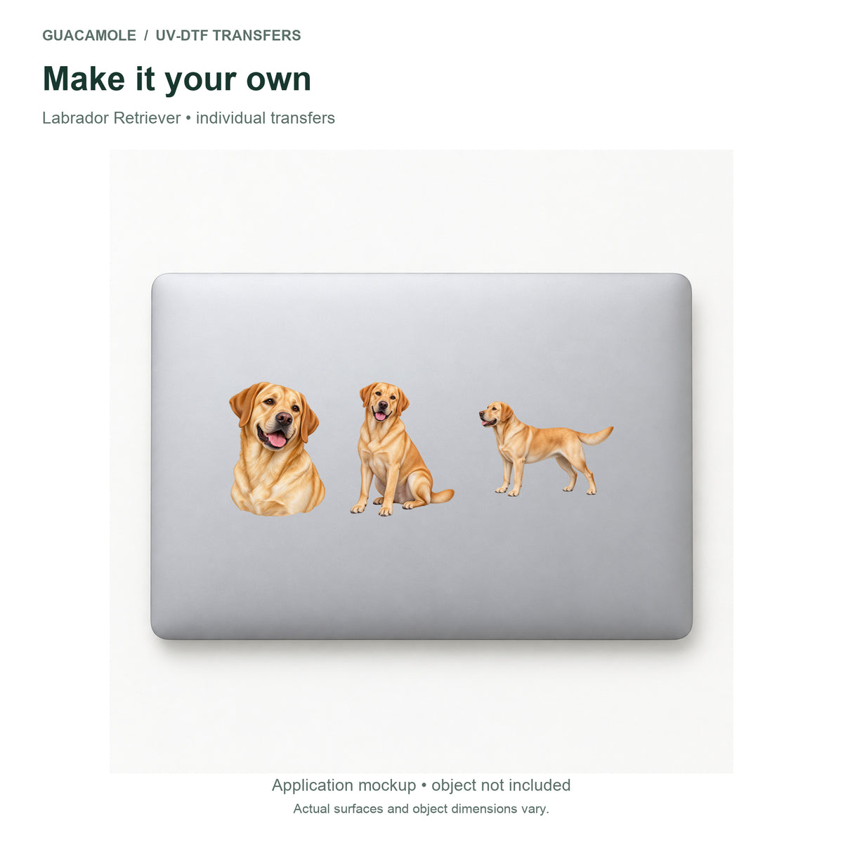 Labrador Retriever — Three designs on a laptop