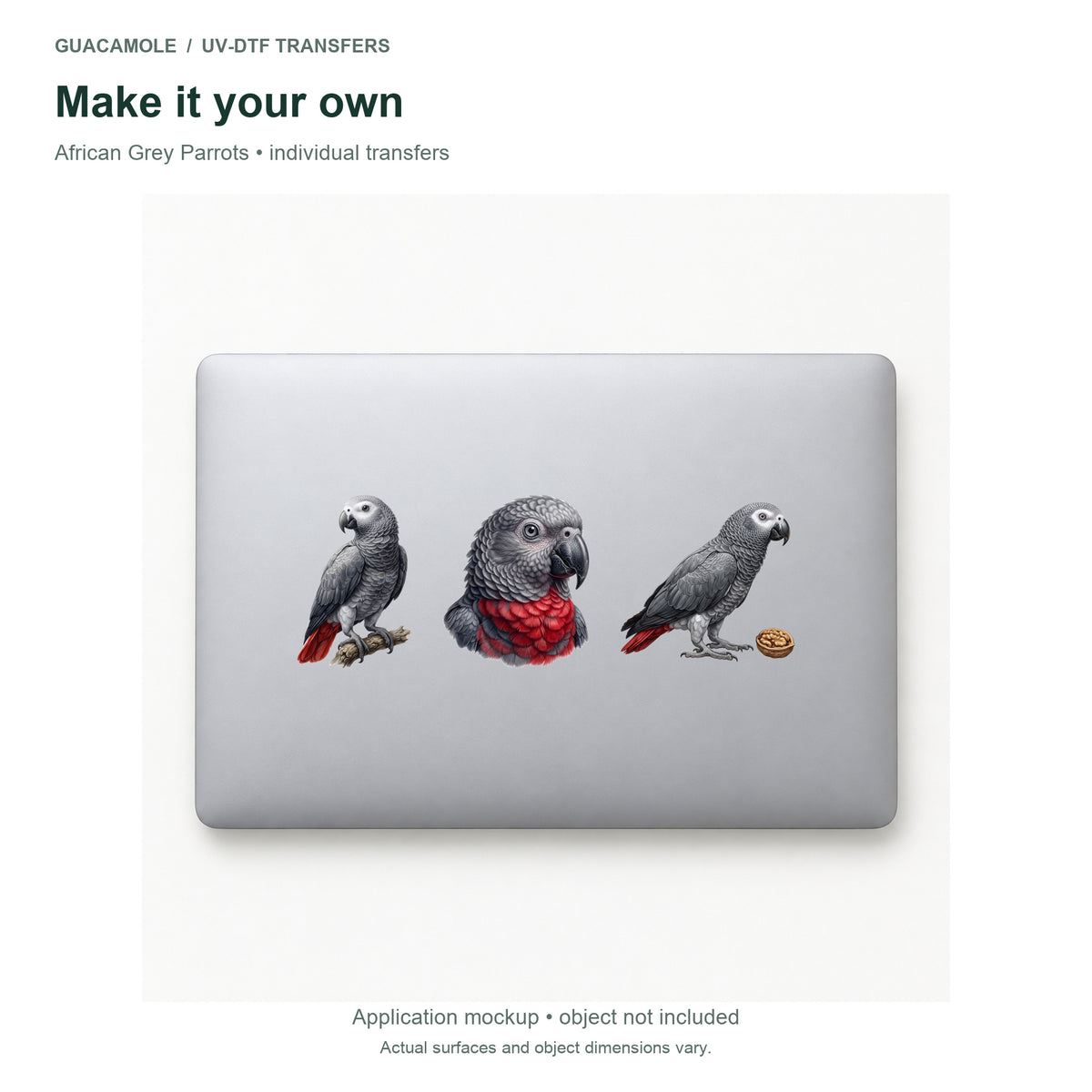 African Grey Parrots — Three designs on a laptop