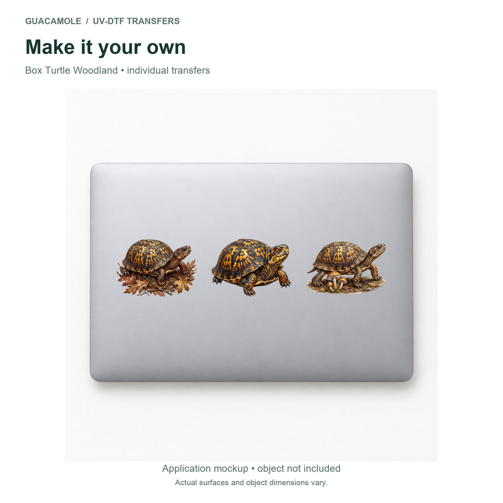 Box Turtle Woodland — Three designs on a laptop