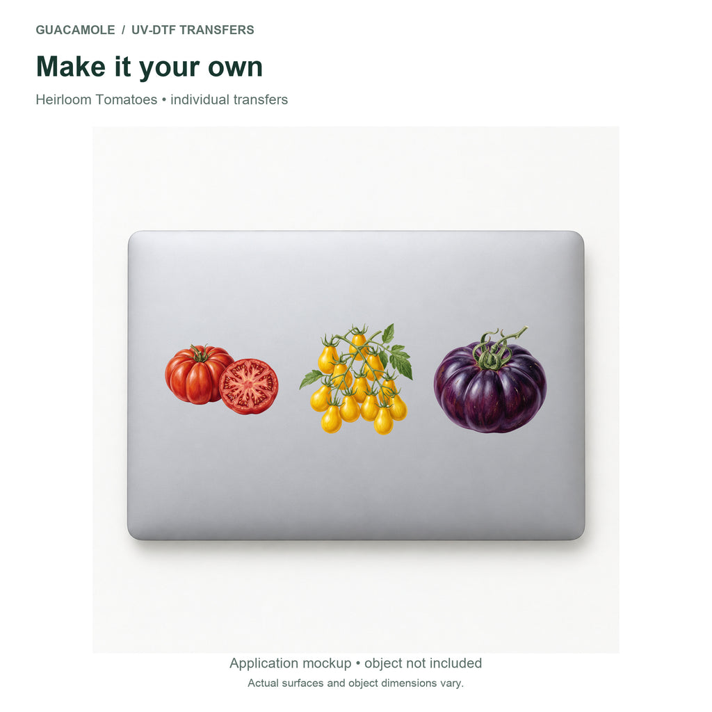 Heirloom Tomatoes — Three designs on a laptop