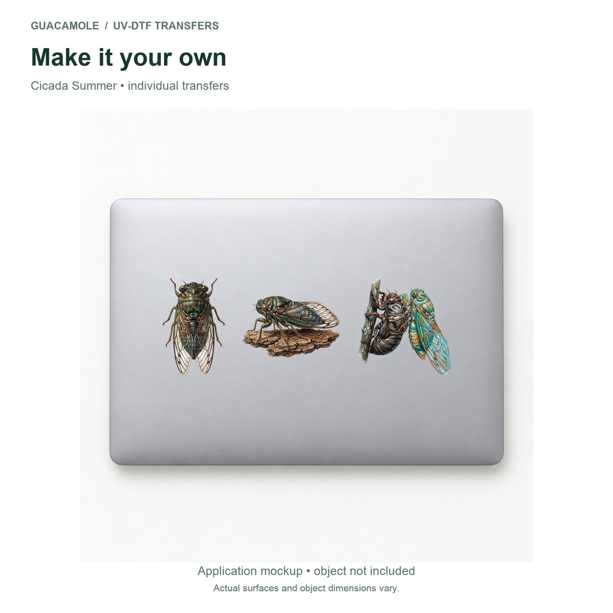 Cicada Summer — Three designs on a laptop