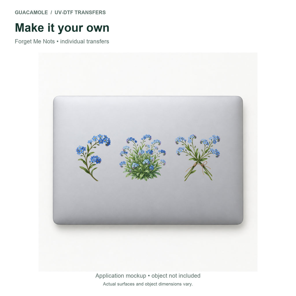 Forget Me Nots — Three designs on a laptop