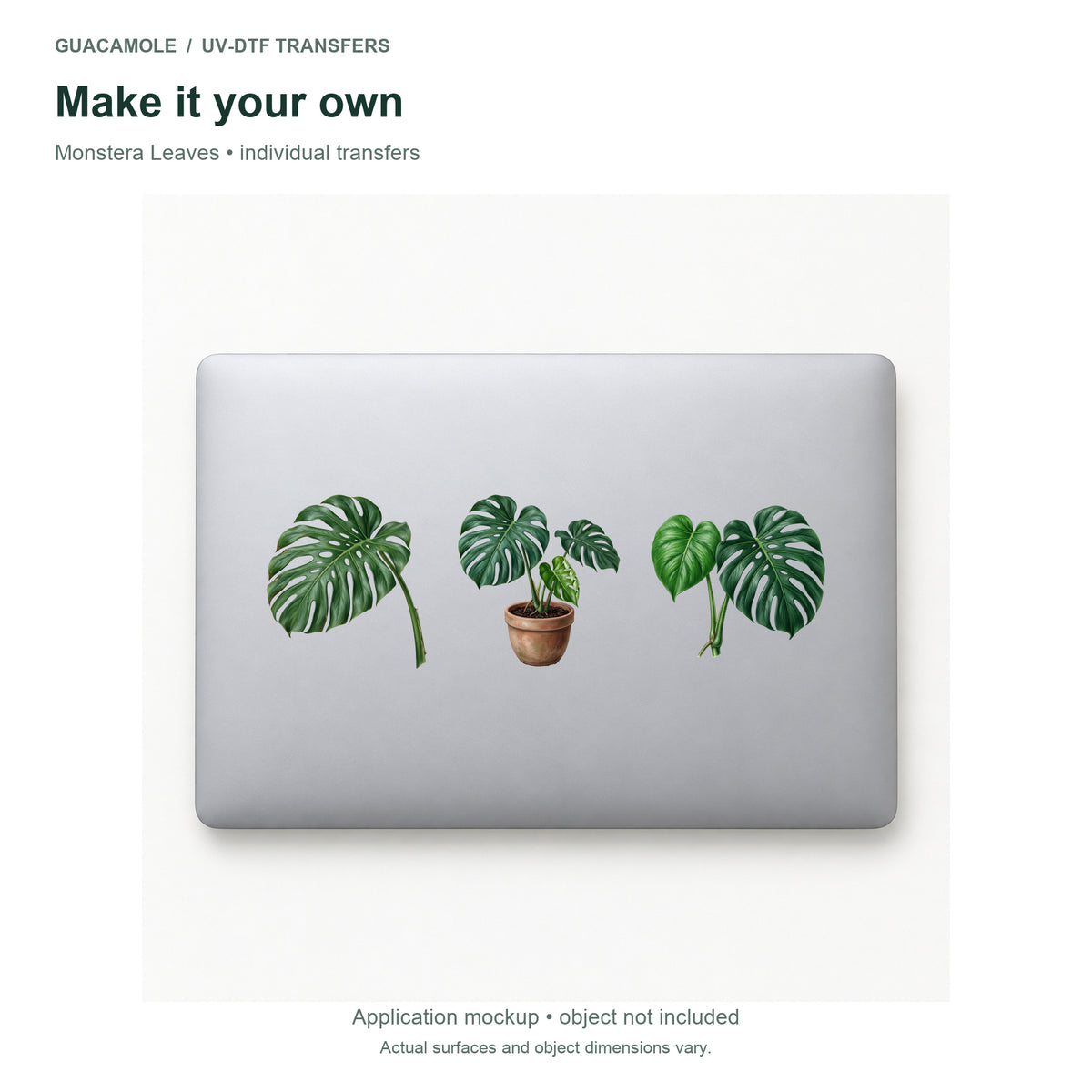 Monstera Leaves — Three designs on a laptop