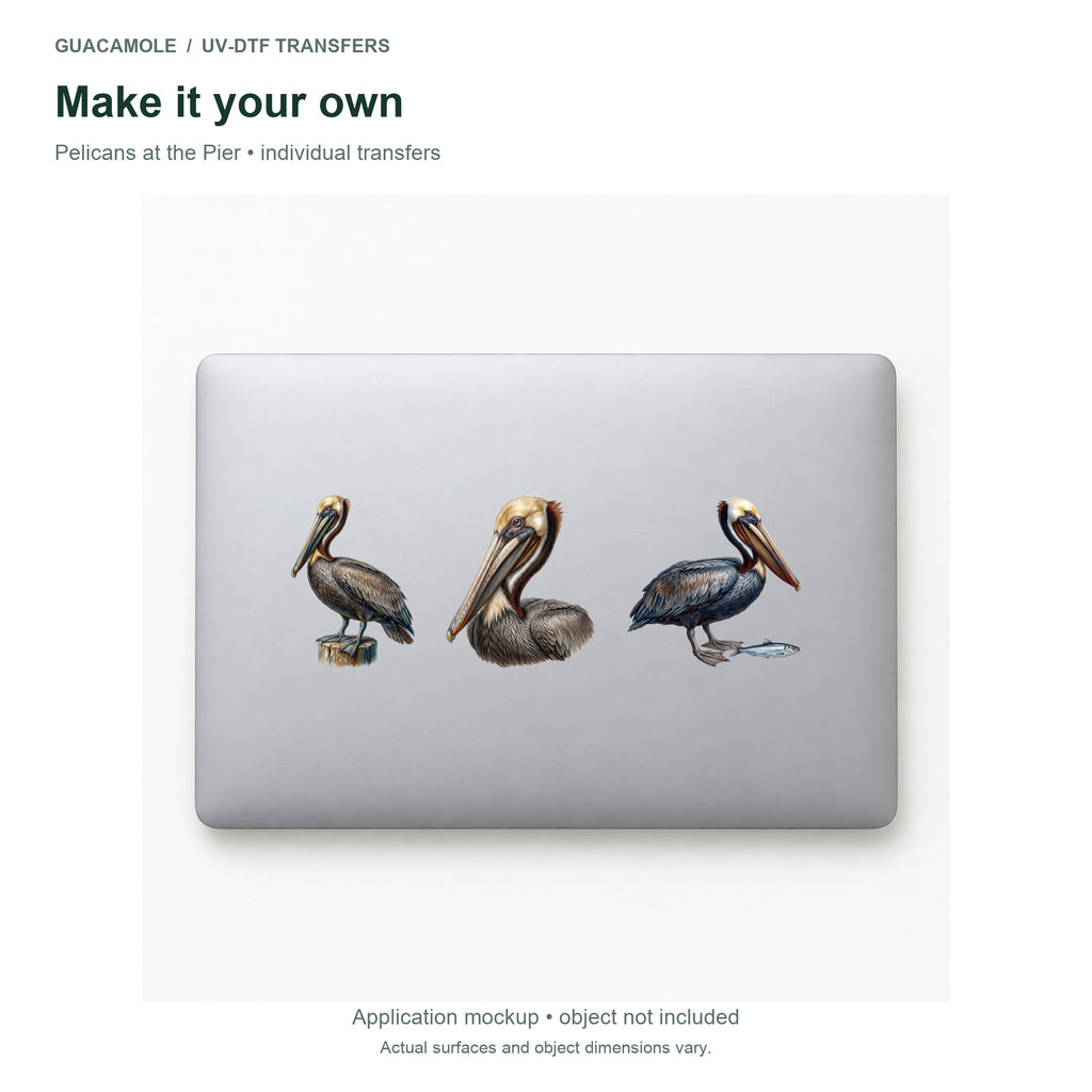 Pelicans at the Pier — Three designs on a laptop