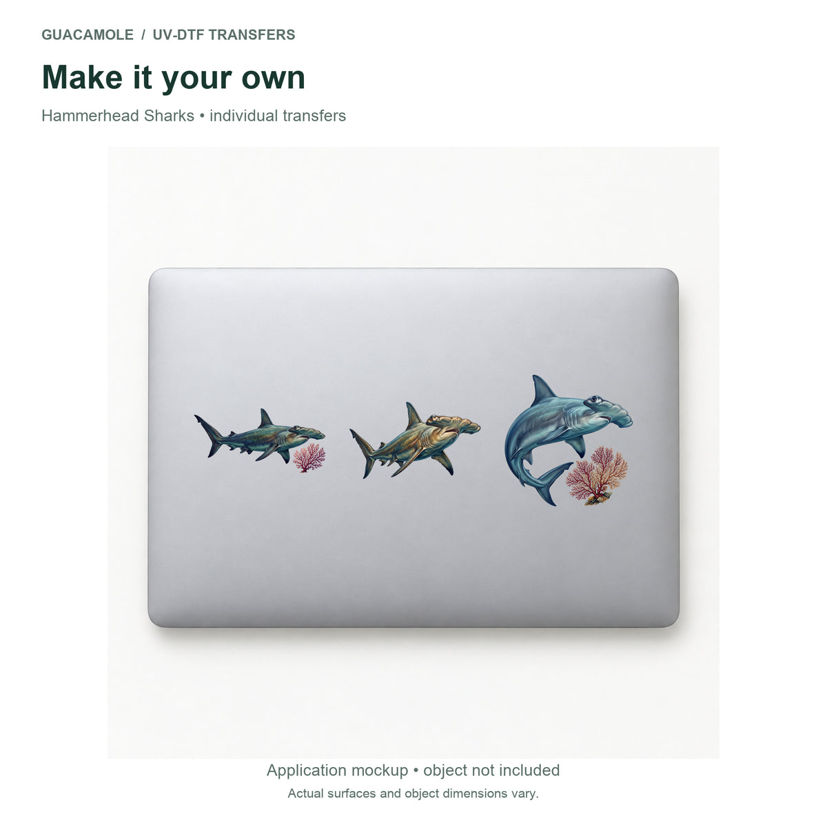 Hammerhead Sharks — Three designs on a laptop