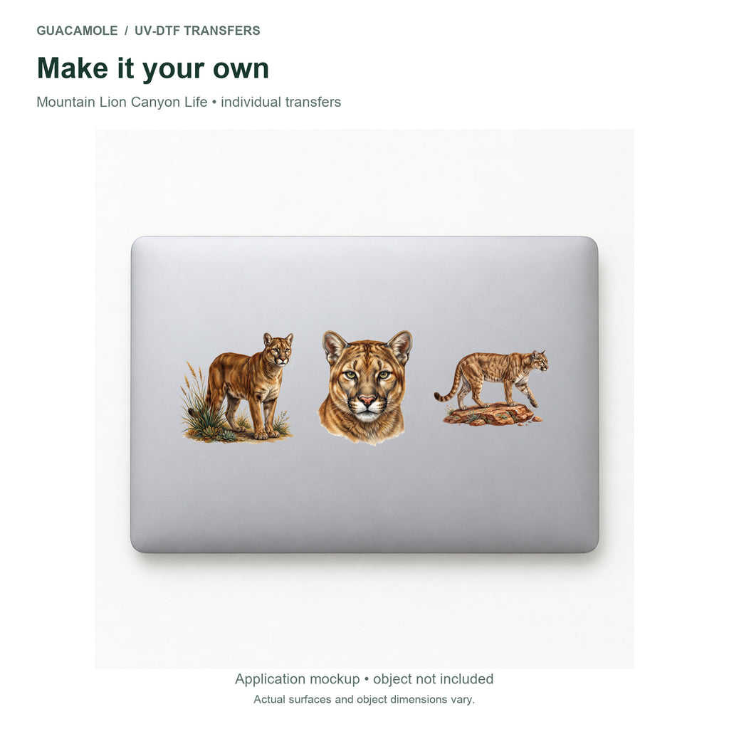Mountain Lion Canyon Life — Three designs on a laptop