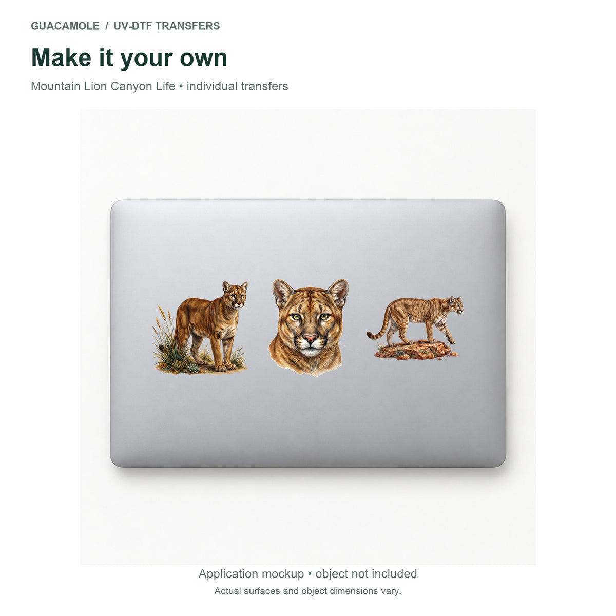 Mountain Lion Canyon Life — Three designs on a laptop