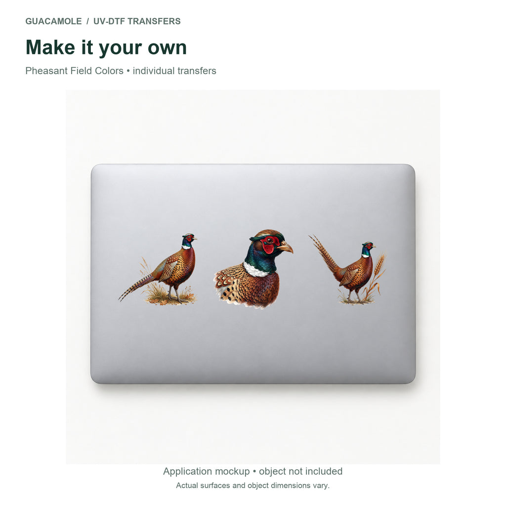 Pheasant Field Colors — Three designs on a laptop