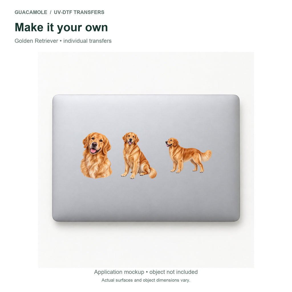 Golden Retriever — Three designs on a laptop