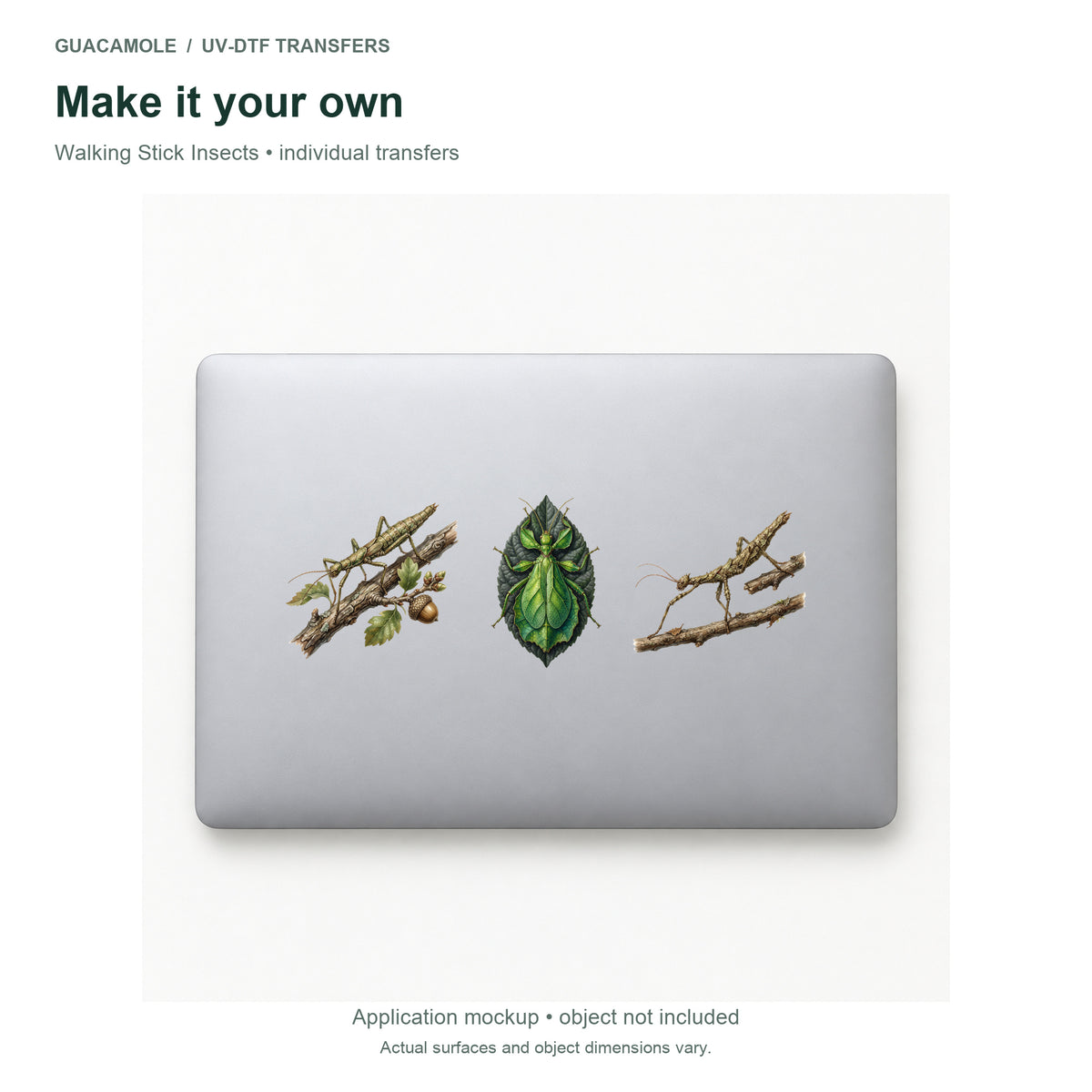 Walking Stick Insects — Three designs on a laptop