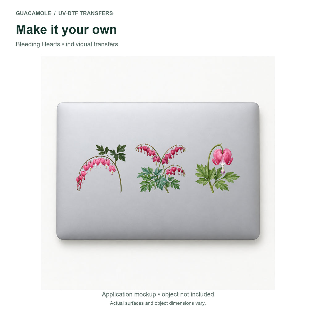 Bleeding Hearts — Three designs on a laptop