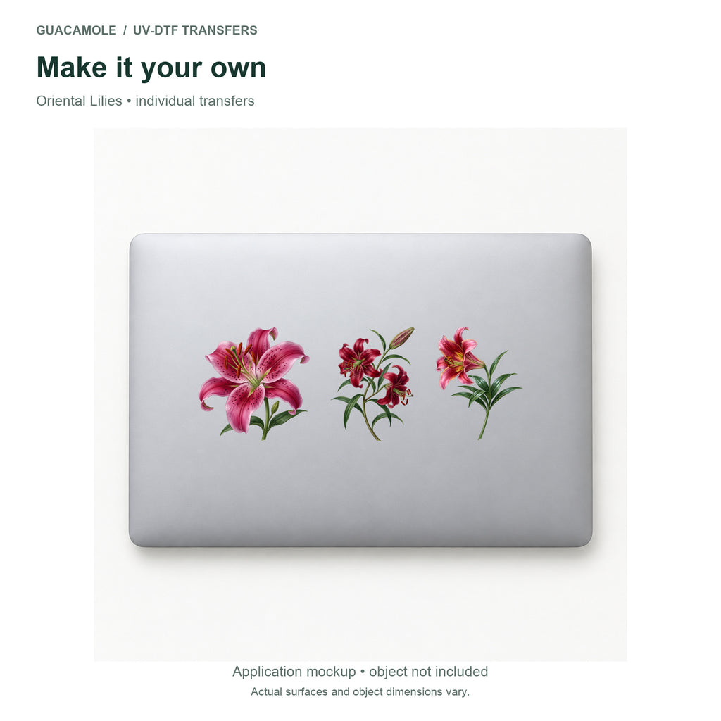 Oriental Lilies — Three designs on a laptop