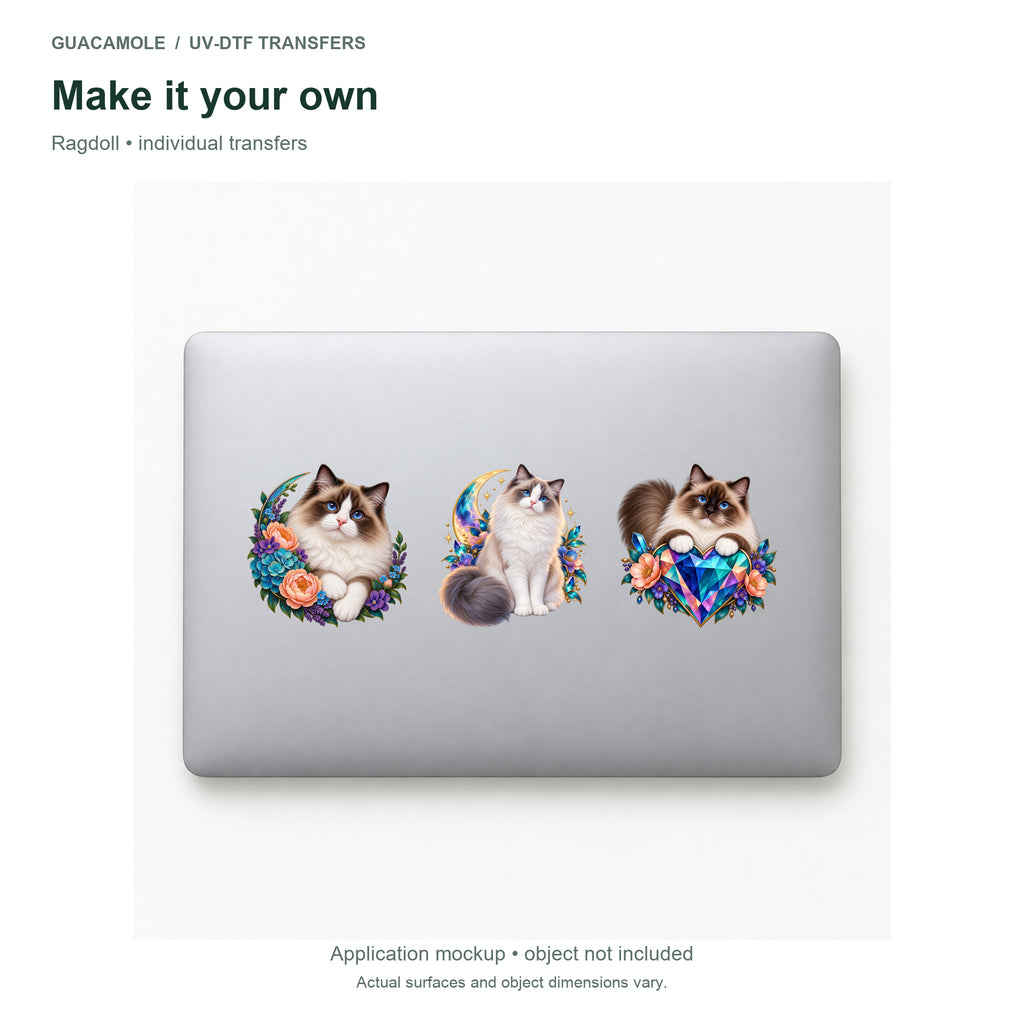 Ragdoll — Three designs on a laptop