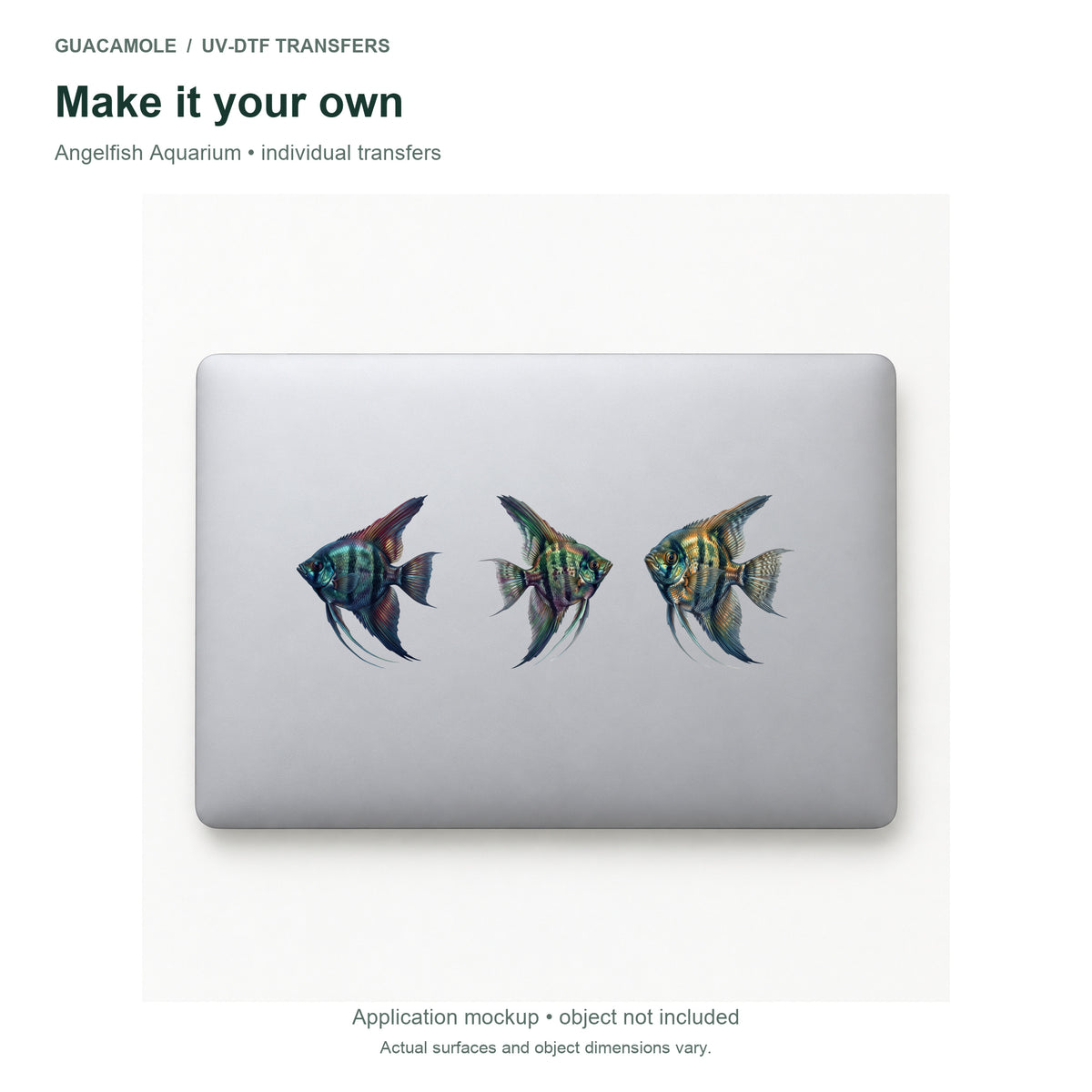 Angelfish Aquarium — Three designs on a laptop