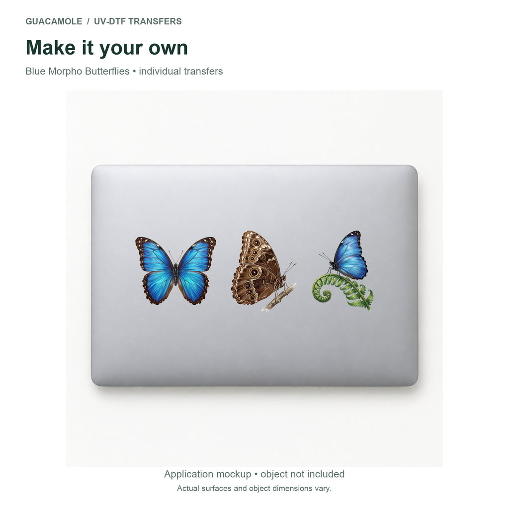 Blue Morpho Butterflies — Three designs on a laptop