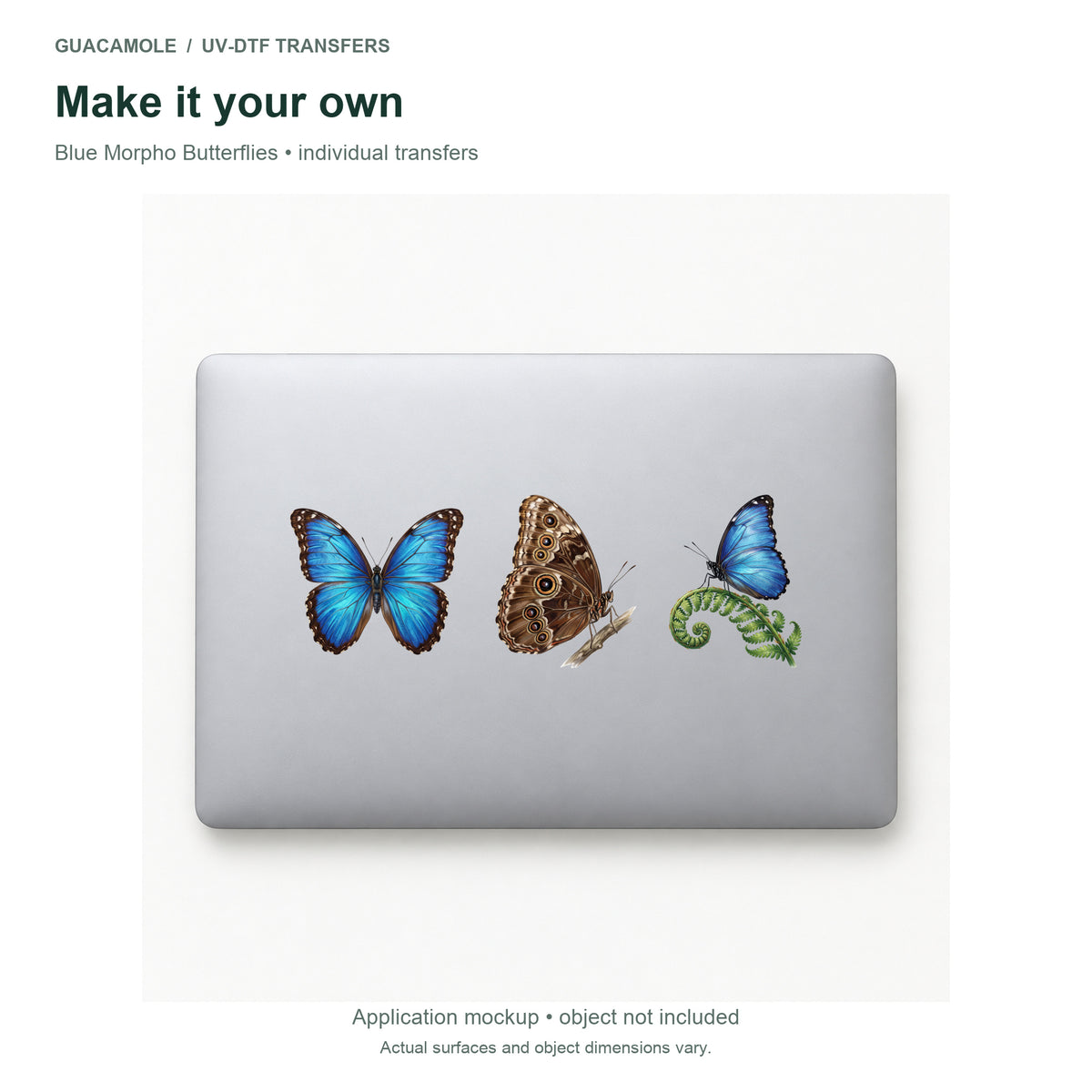 Blue Morpho Butterflies — Three designs on a laptop