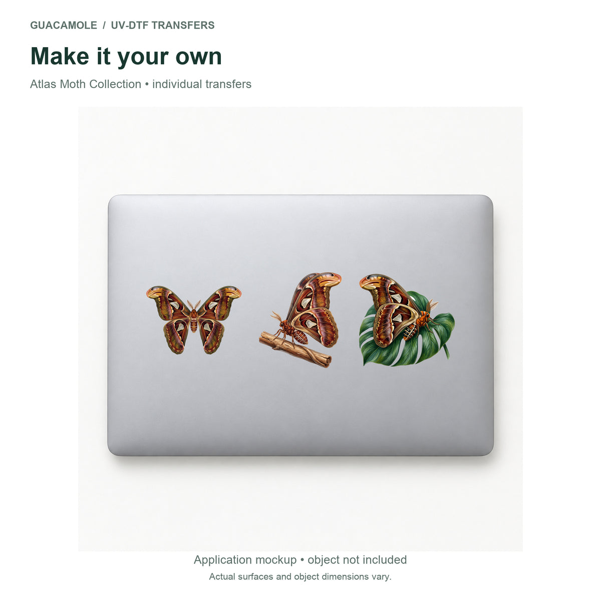 Atlas Moth Collection — Three designs on a laptop