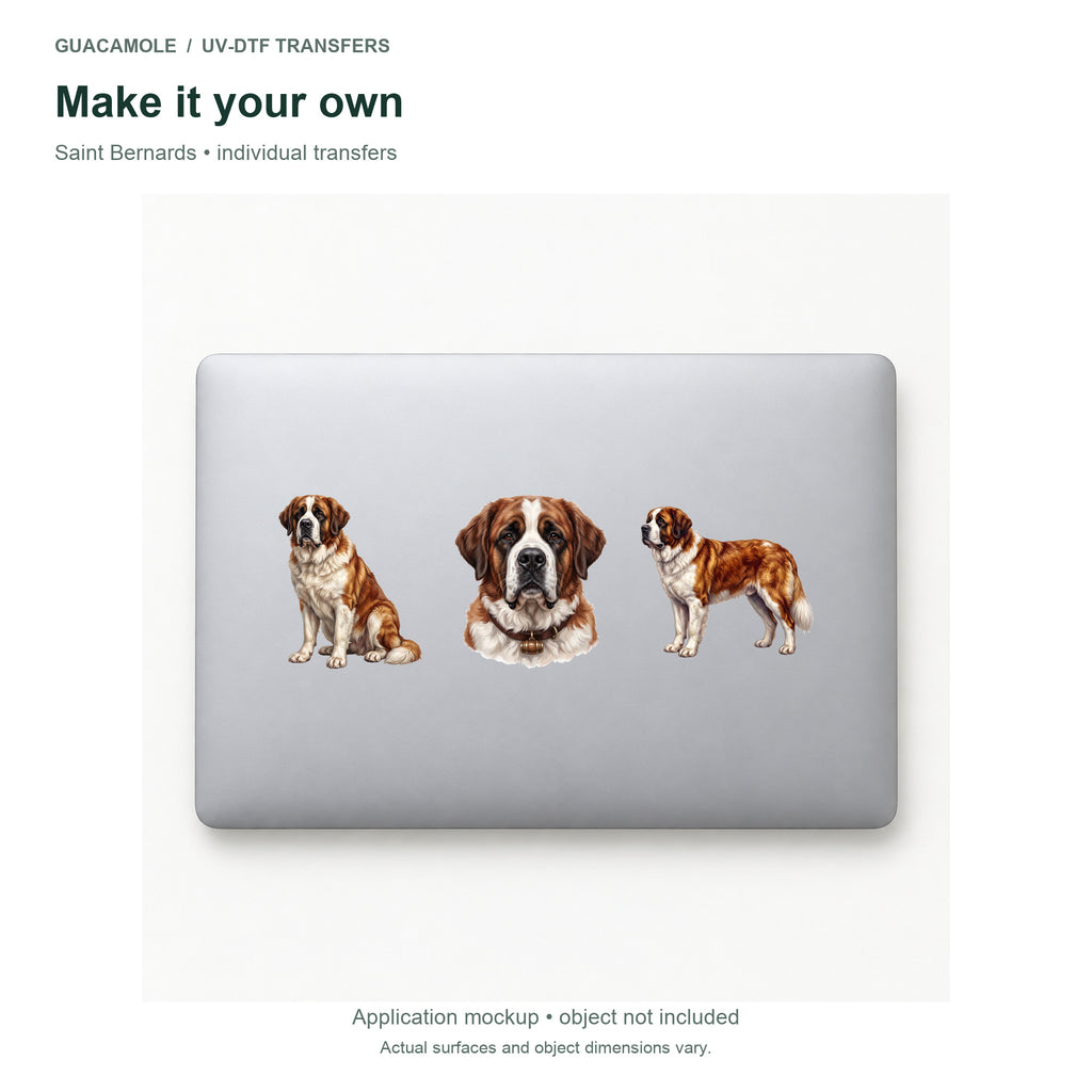 Saint Bernards — Three designs on a laptop