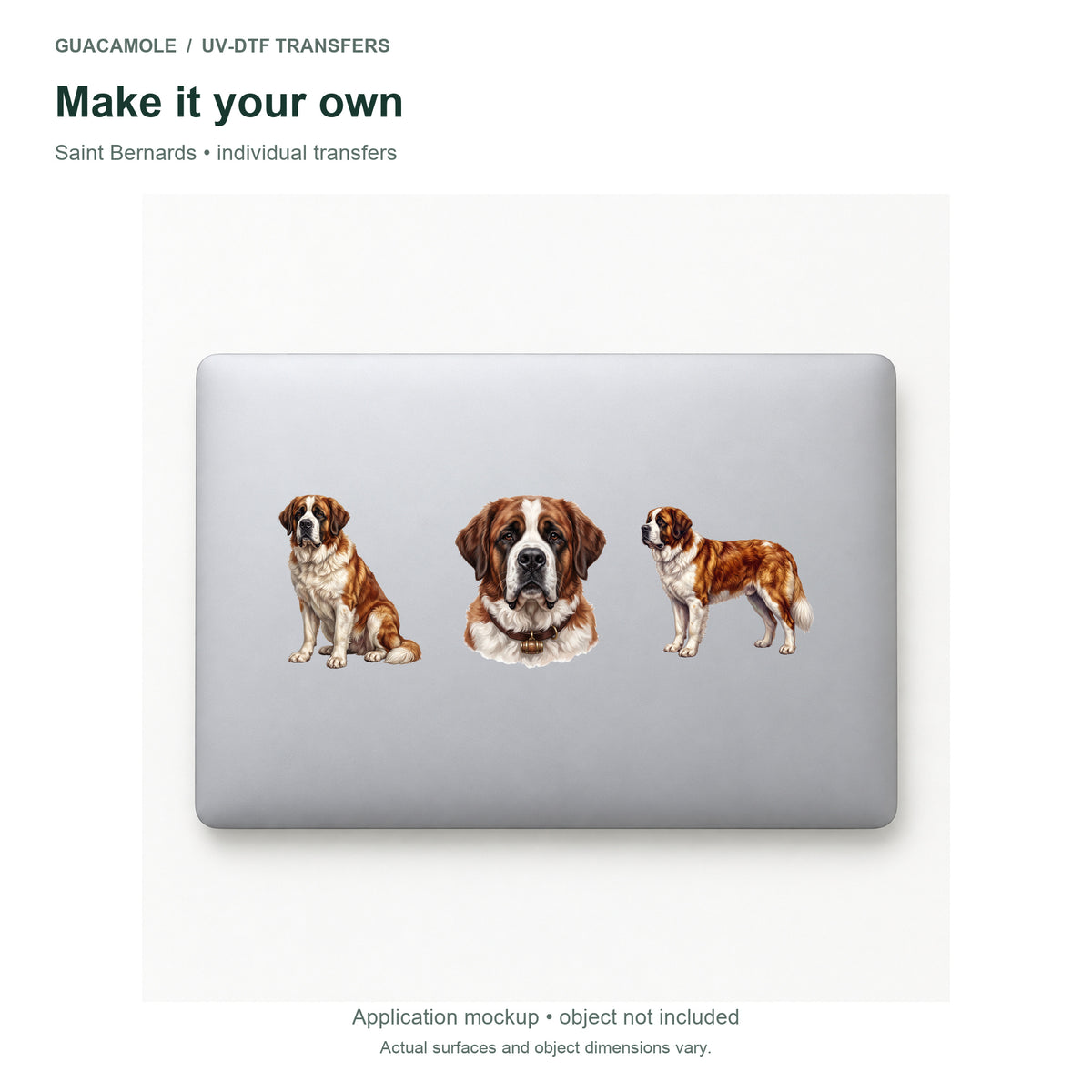 Saint Bernards — Three designs on a laptop