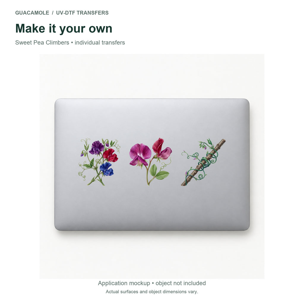 Sweet Pea Climbers — Three designs on a laptop