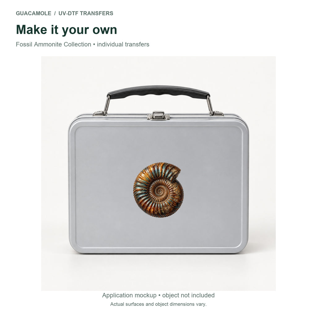 Fossil Ammonite Collection — Second application setting