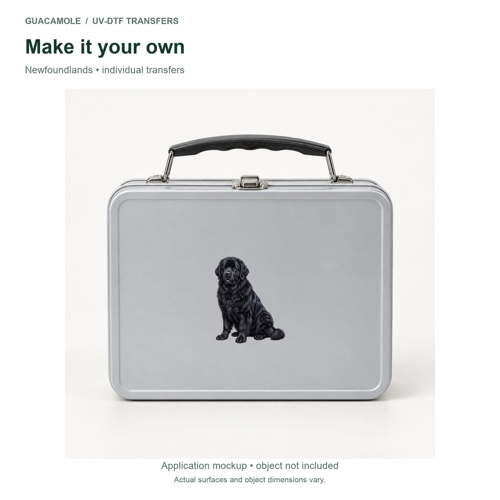Newfoundlands — Second application setting