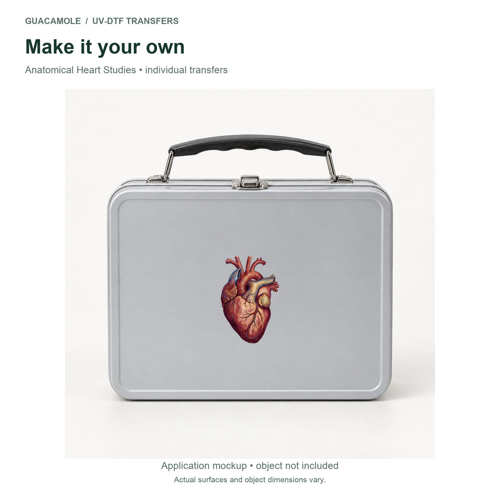 Anatomical Heart Studies — Second application setting