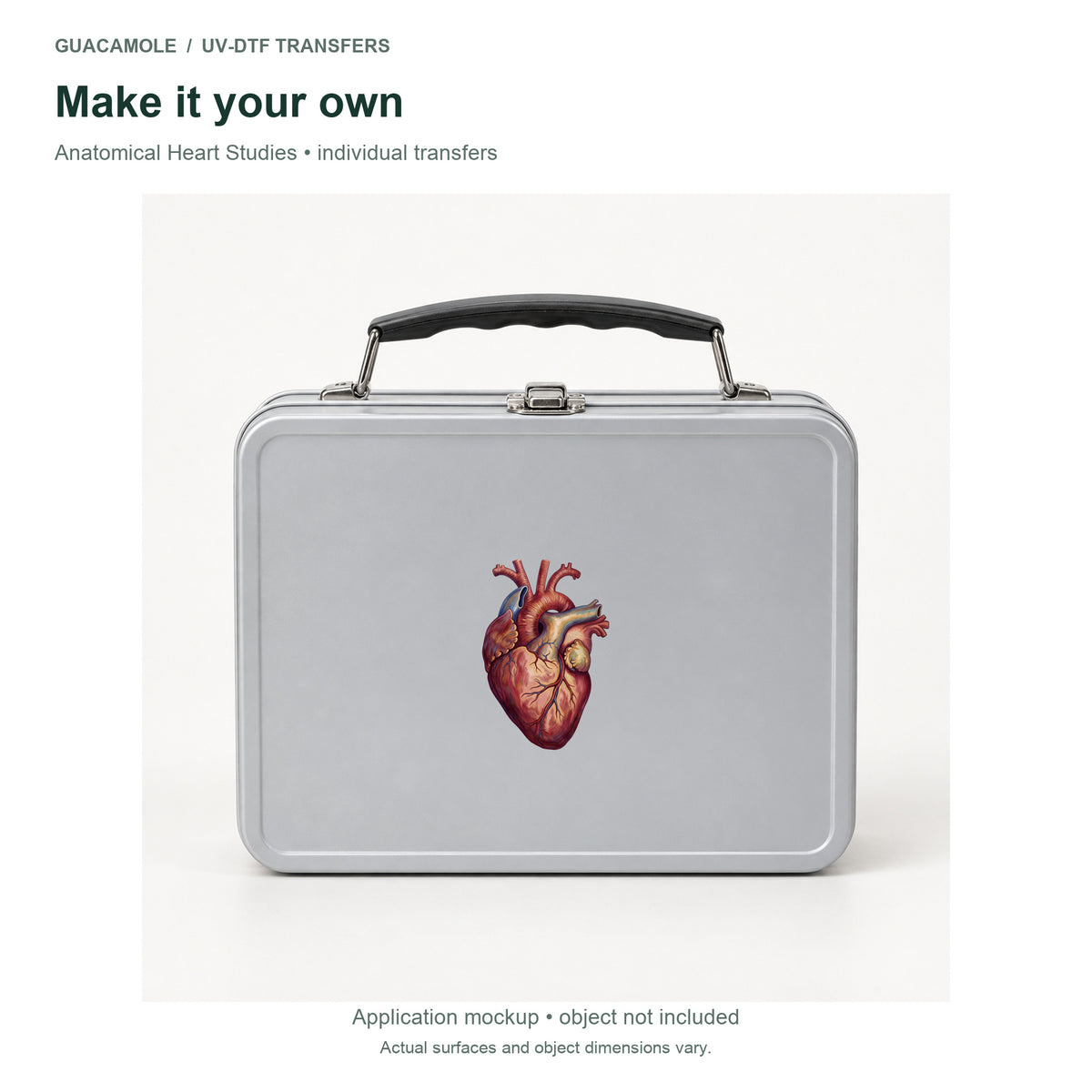 Anatomical Heart Studies — Second application setting