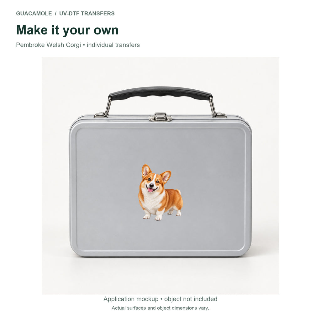 Pembroke Welsh Corgi — Second application setting